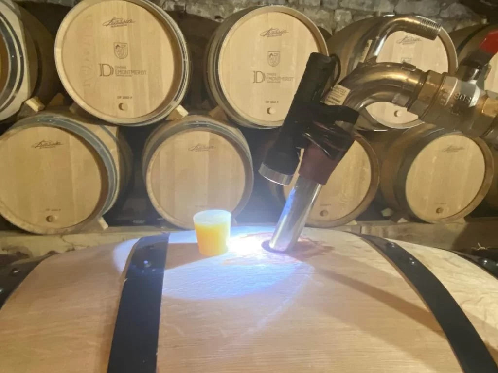 Smagning fra fad i en kælder i Bourgogne
