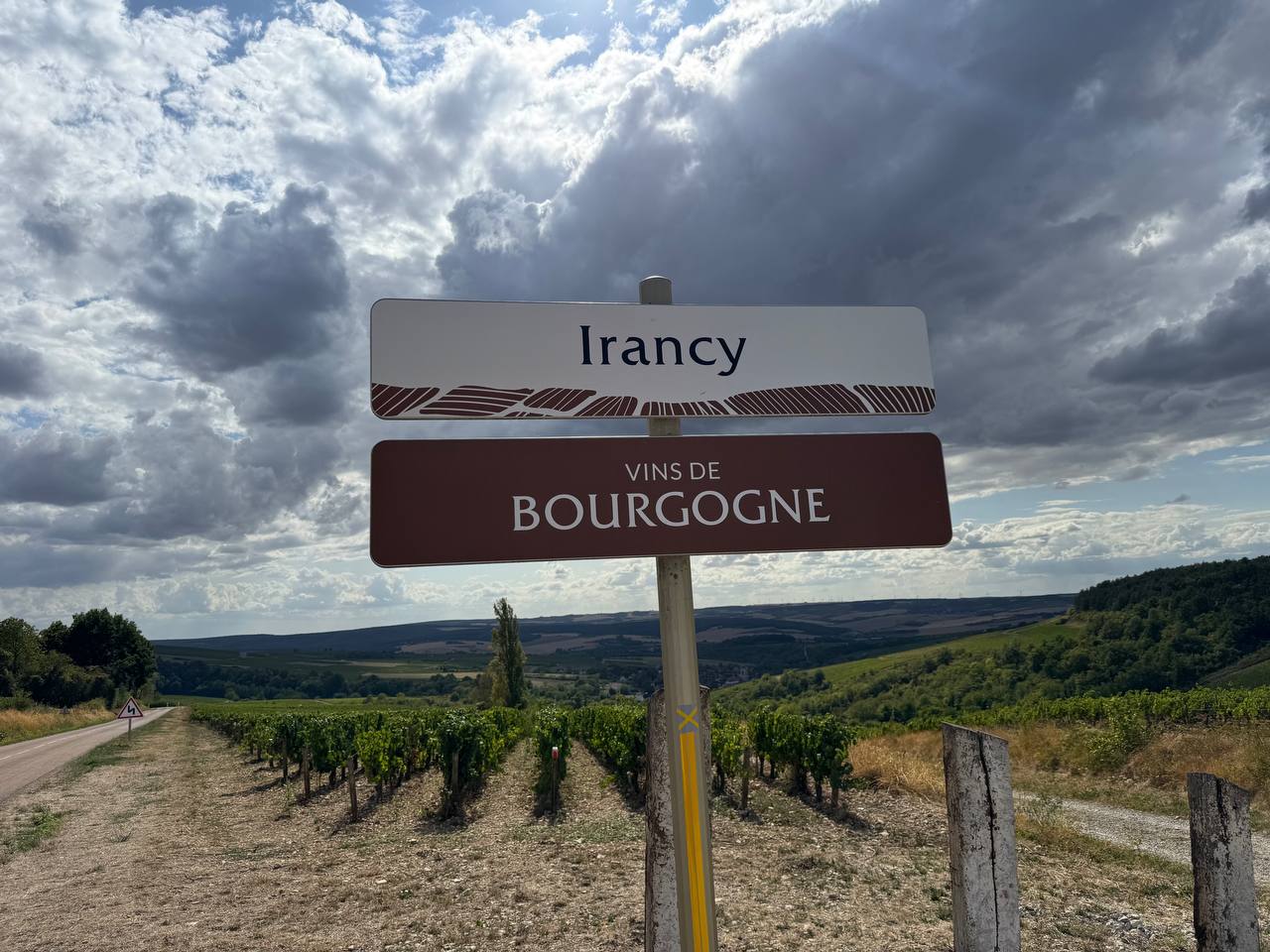 Irancy-skilt og vinmarker fra Petit Bourgognes besøg hos Domaine Charriat