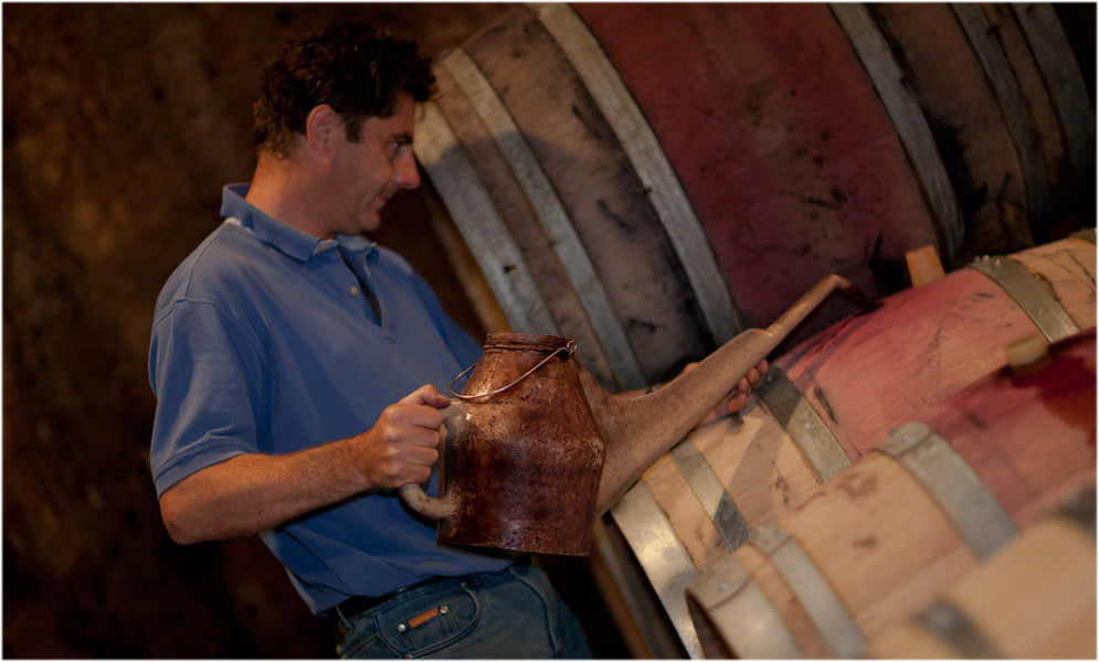 Kælderarbejde ved et fad hos Domaine Cyrot-Buthiau